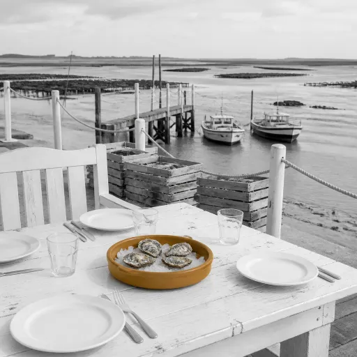 Zeeland's quiet culinary rise: why the Netherlands' smallest province serves its biggest flavors